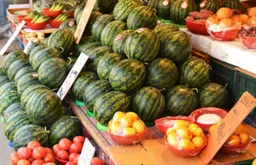 강원 민생회복지원금 신청 방법 대상 조건 서류 신청일 사용처 1인당 최대 25만원