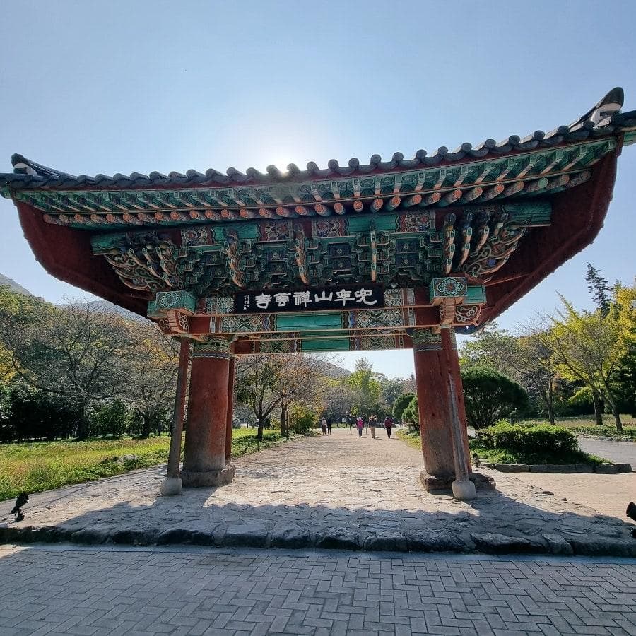 [4월 축제]사계절의 모습이 다 아름다운 고창 선운사❘동백꽃, 홍매화 사진 이벤트