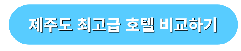 제주도 최고급 호텔 최저가 비교하기
