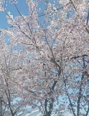 도심속휴식공원