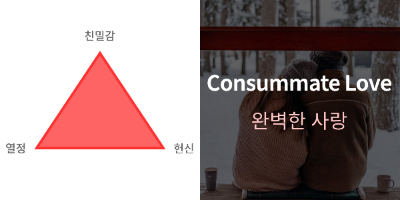 사랑의 형태 Consummate Love