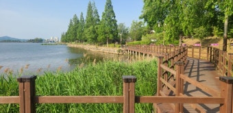 신정호 석갈비&amp;#44; 6시 내고향이 선택한 맛! 아산 대표 석갈비 찐 맛집 솔직 후기