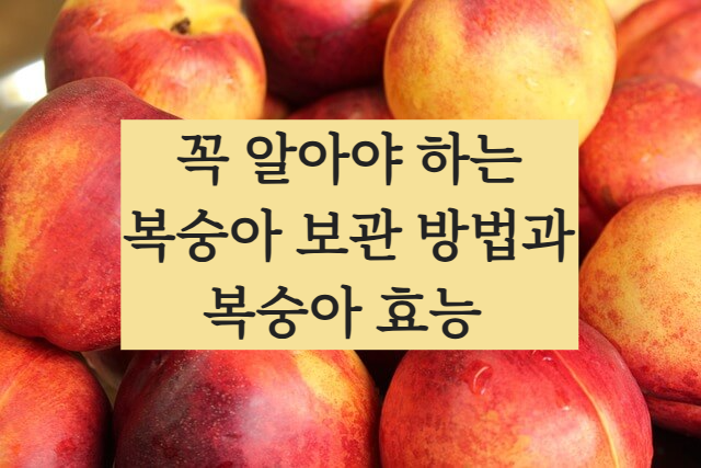 복숭아 효능