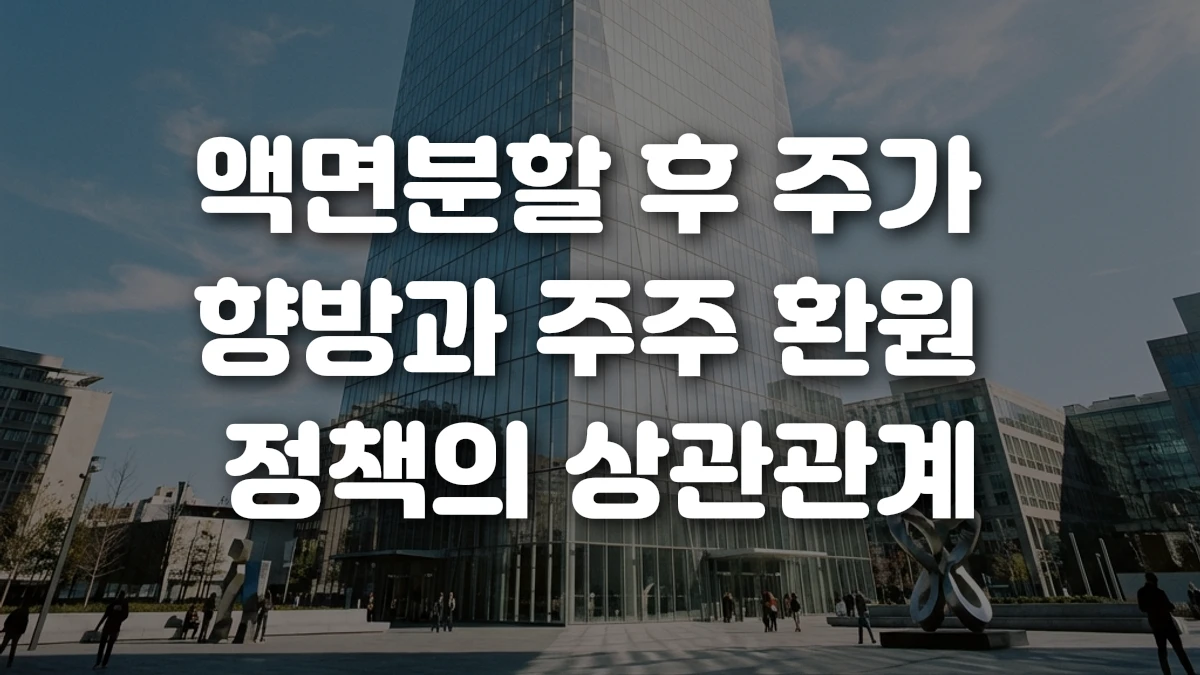 액면분할 후 주가 향방과 주주 환원 정책의 상관관계