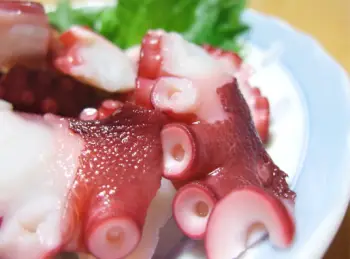 문어 가격 및 효능, 영양성분