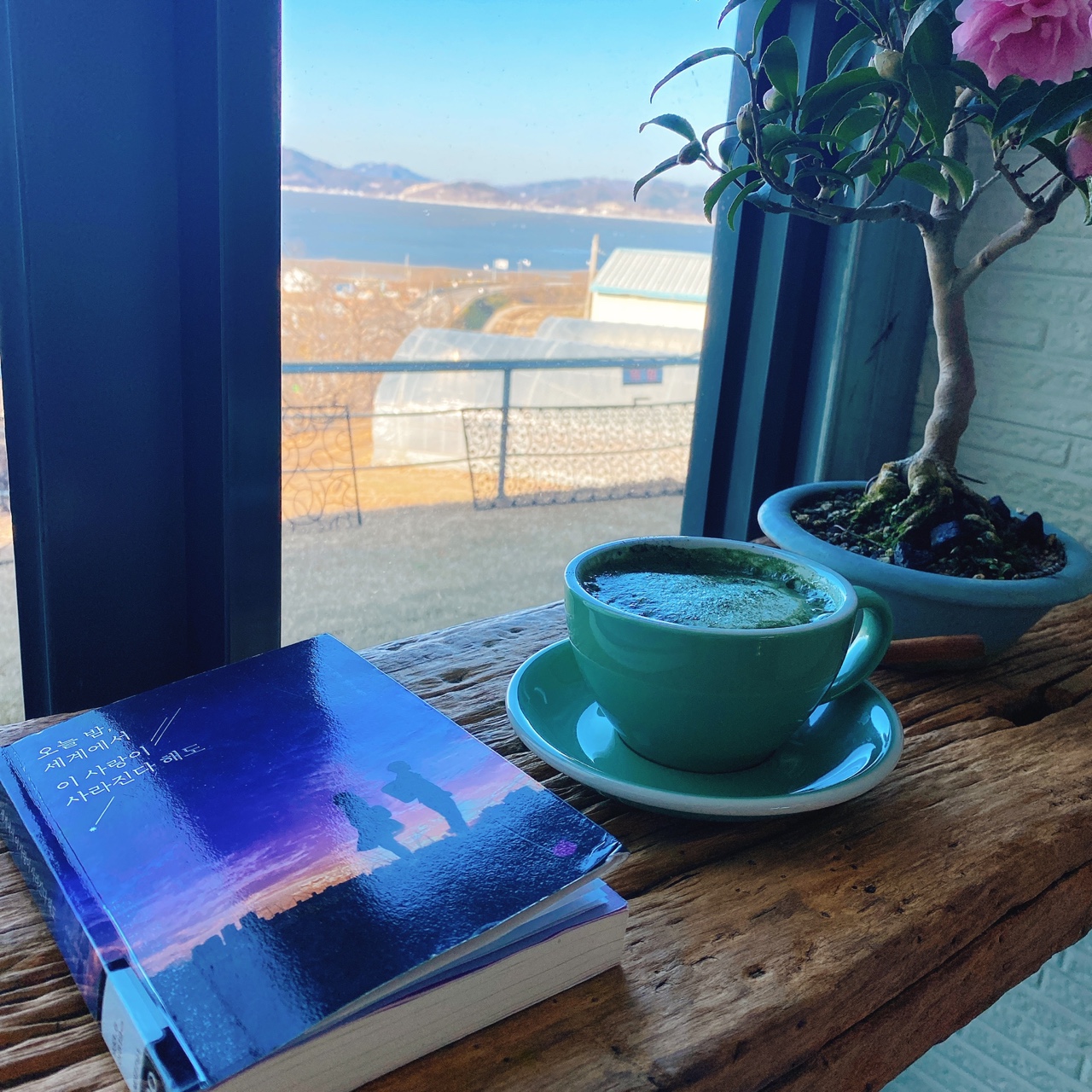 강화도 야생화 뜰 카페