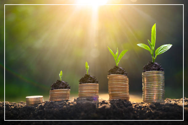 디딤돌 저축보험