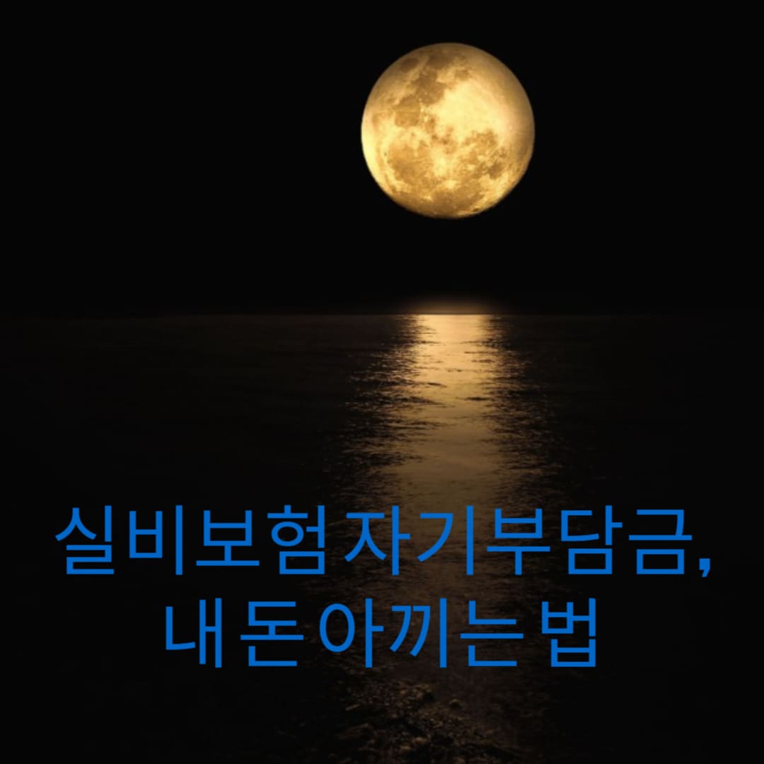 실비보험-자기부담금-내-돈-아끼는-법-썸네일