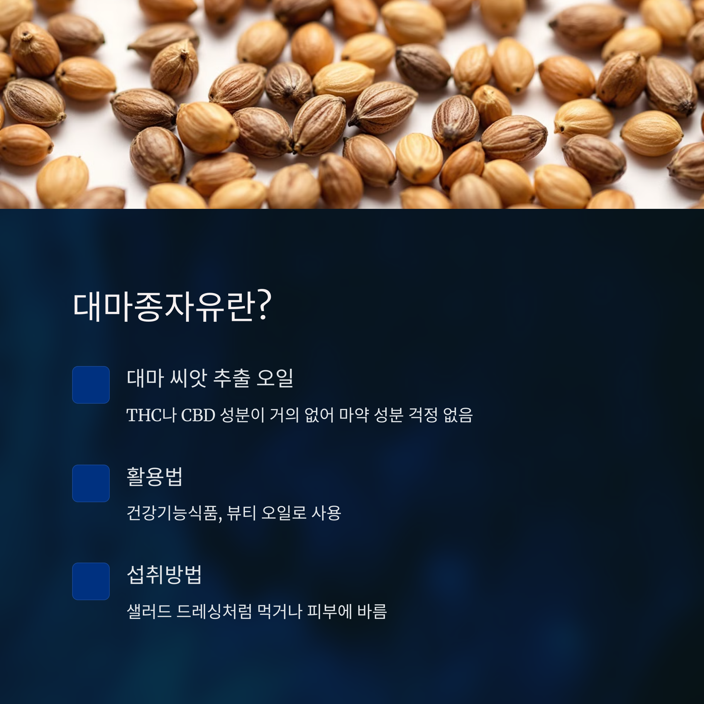 대마종자유란? 기본 정보
