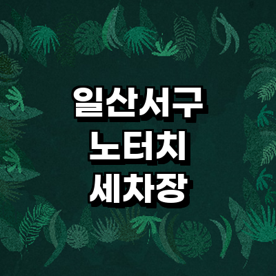 고양 일산서구 노터치 세차