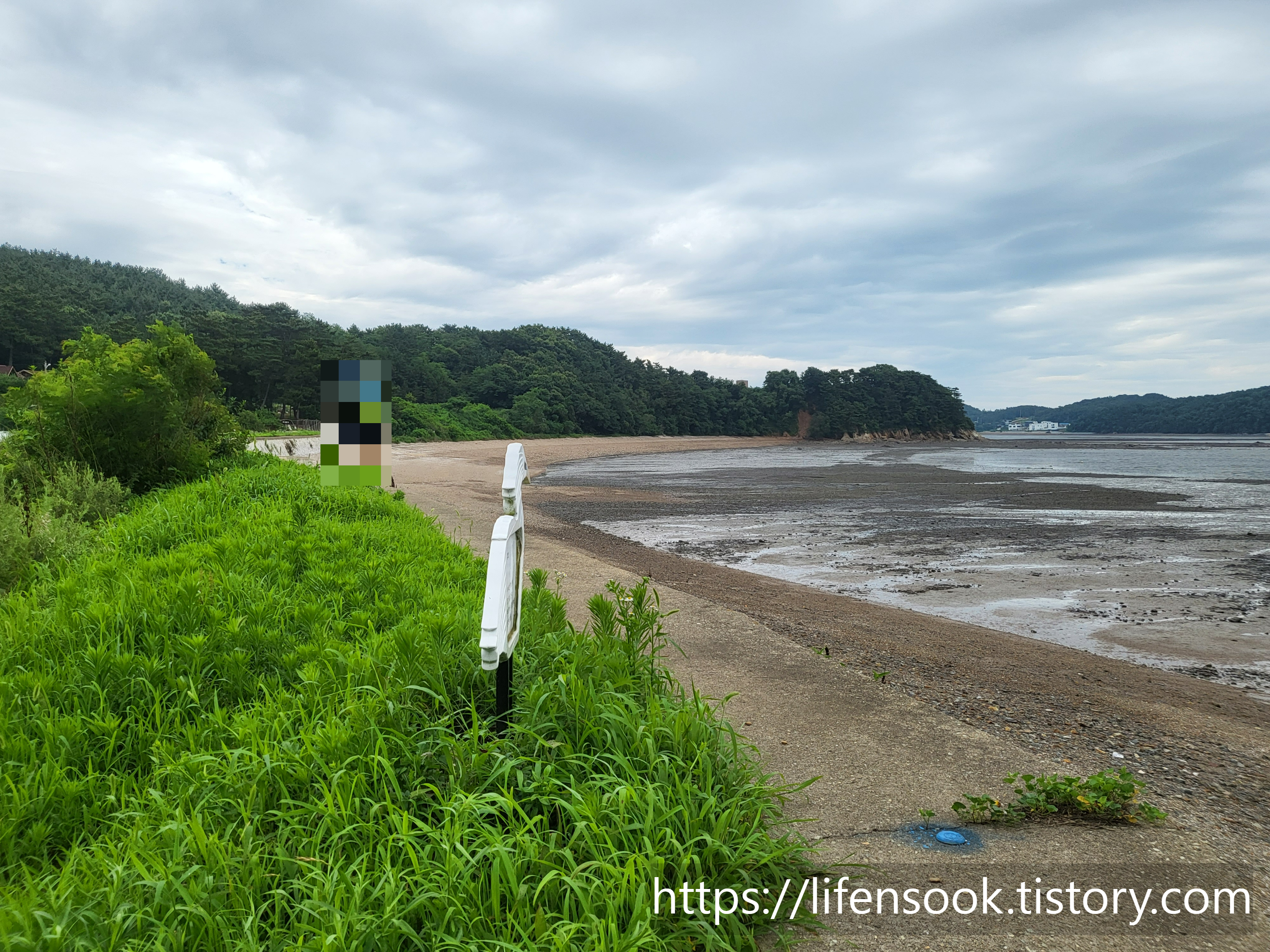 대부해솔길 3코스 노랑부리백로 이정표 3