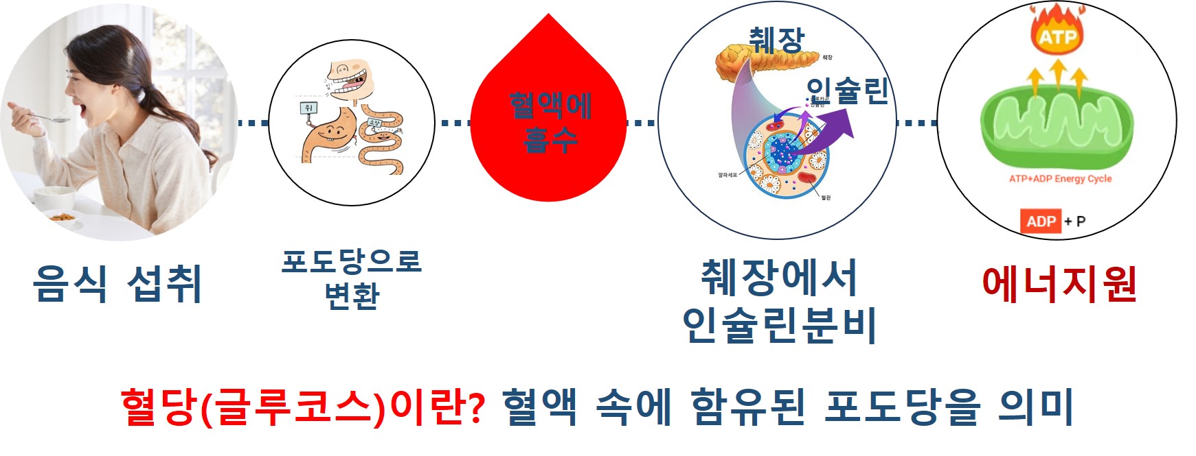 혈당