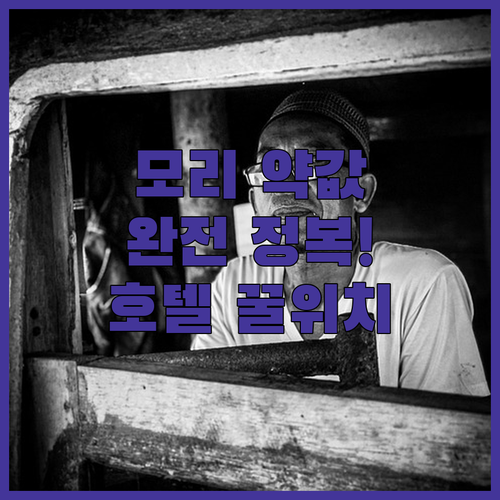 미야자키 드럭스토어 모리 의약품 가격..