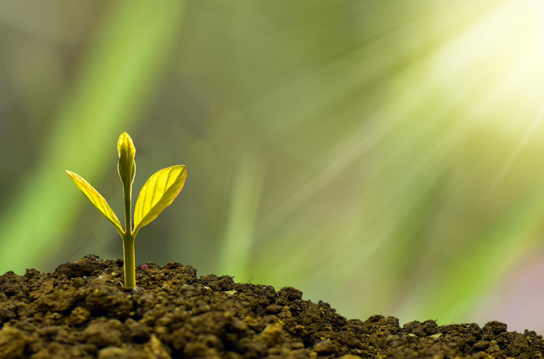 고유가 피해지원금 신청일&amp;#44; 신청방법&amp;#44; 지원금액 및 사용처