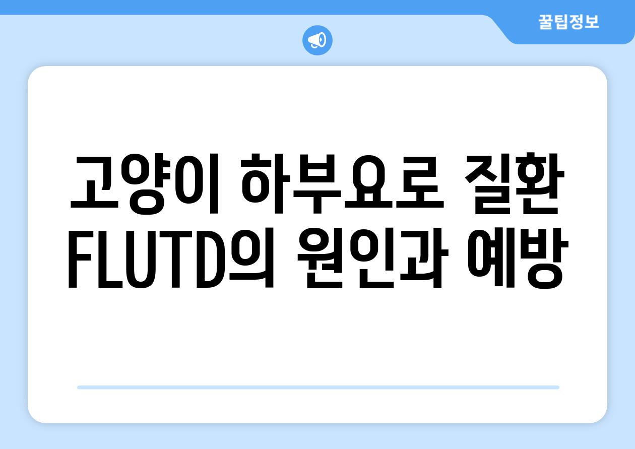 고양이 하부요로 질환 FLUTD의 원인과 예방