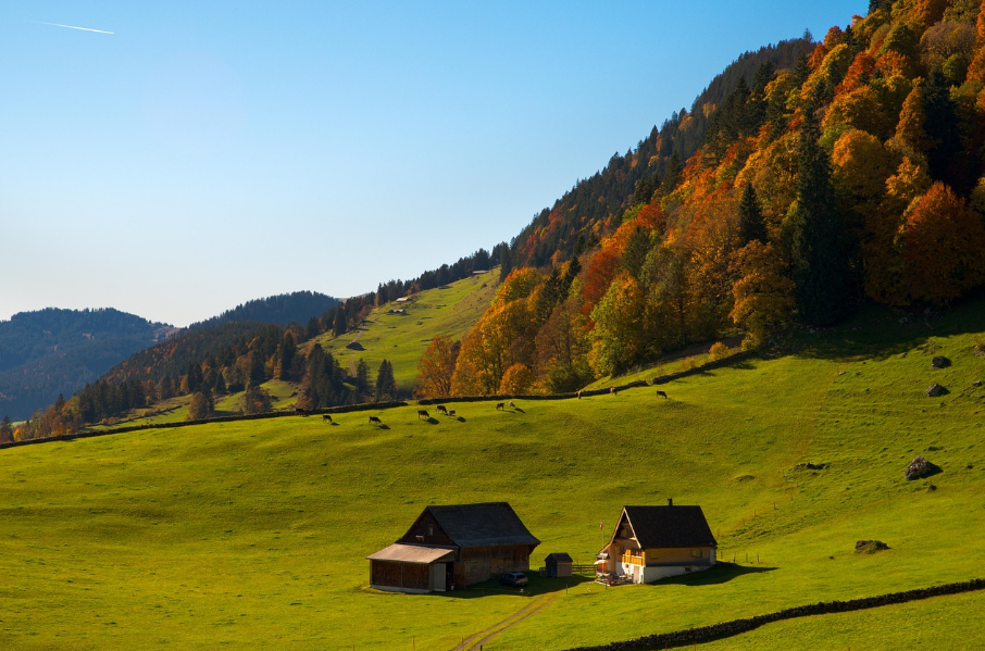 비교하지 않아도 충분해진 삶의 기준