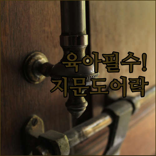 육아 가정 필수템 지문 인식 푸시풀 ..