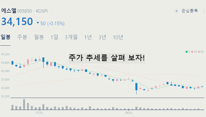BMS 관련주 대장주 테마주 TOP10