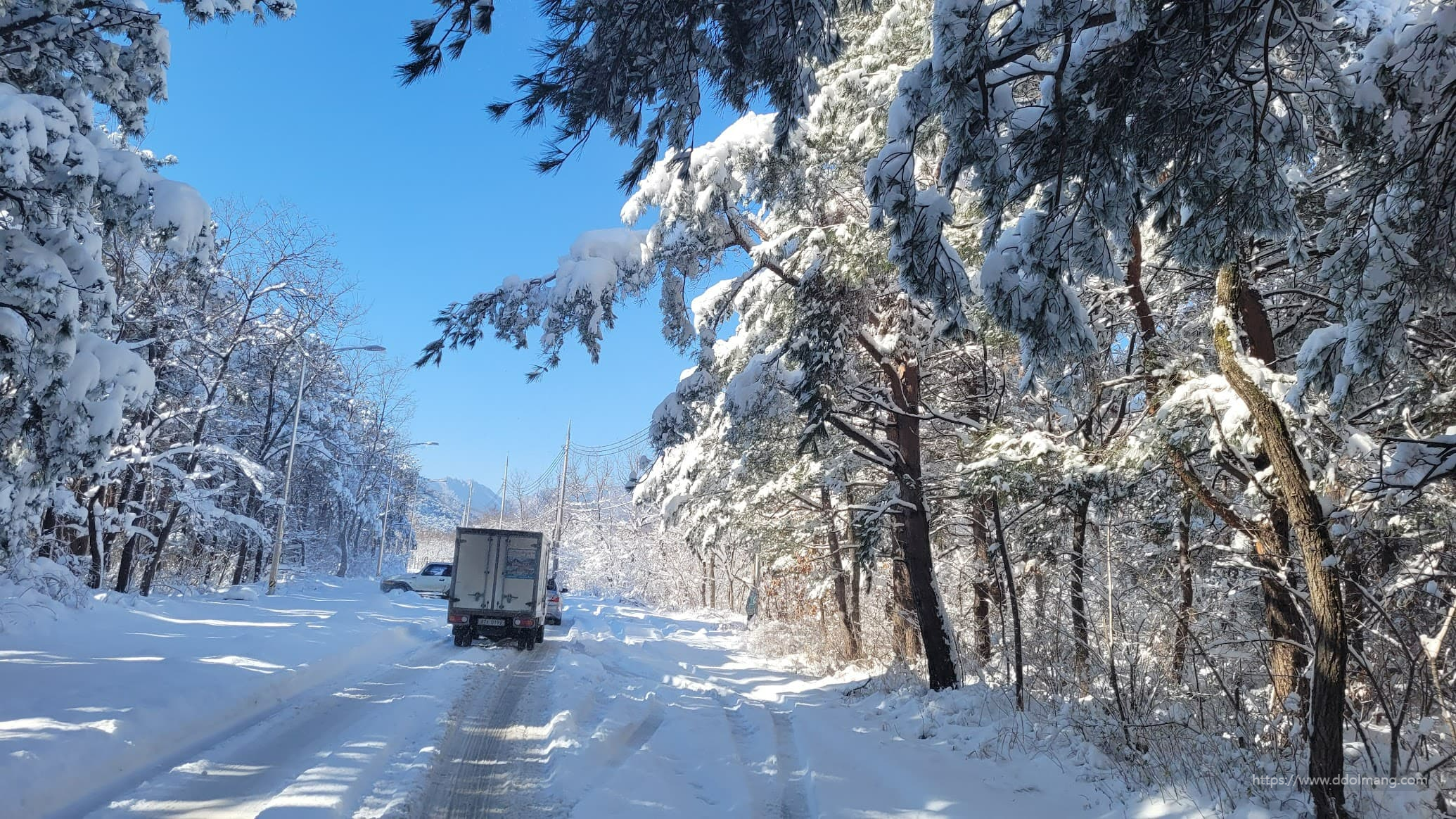 폭설이 내린 속초