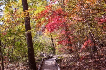 서울 도시숲의 숨은 건강 기능 : 곰팡이 다양성이 알레르기를 낮춘다