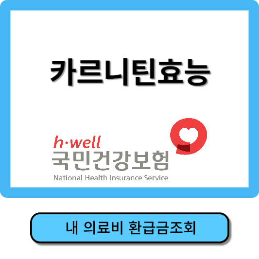 카르니틴효능
