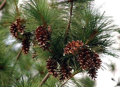 집안 습기제거 방법