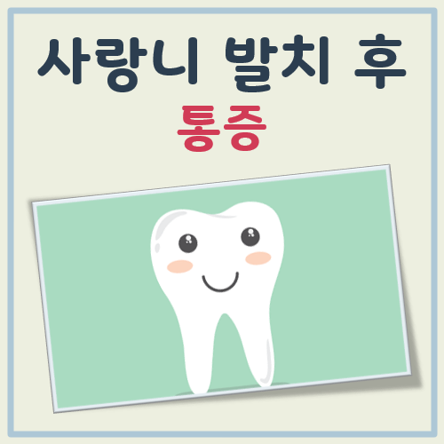 사랑니 발치 후 통증 대표 이미지