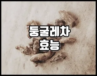 둥글레차 효과 건강에 좋은 차 효능 정리_16