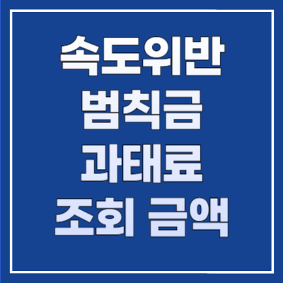 속도위반 범칙금 과태료 조회 금액