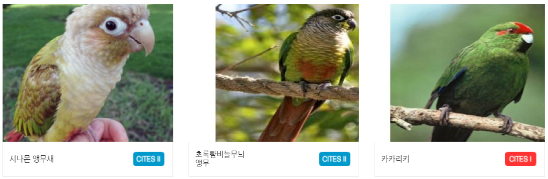 구미 쥬쥬동산