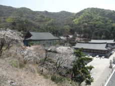 천안 각원사