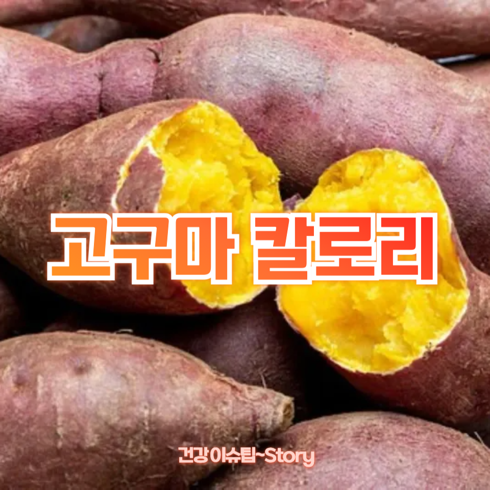 고구마 칼로리