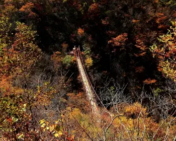 대둔산 케이블카_12