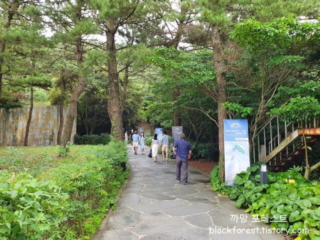 빛의 벙커 입구