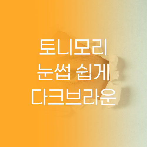 토니모리 아이브로우, 쉽고 빠른 눈썹..