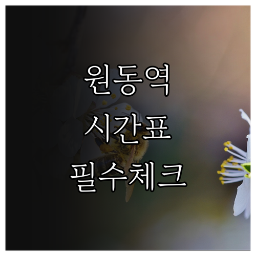 원동역 열차 시간표 확인 방법 및 매..