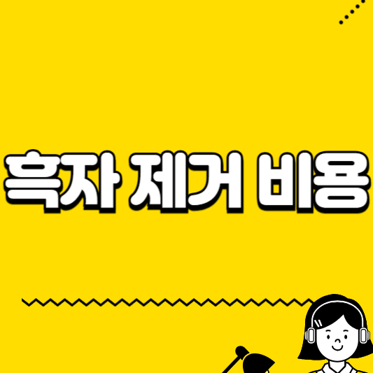 흑자제거비용