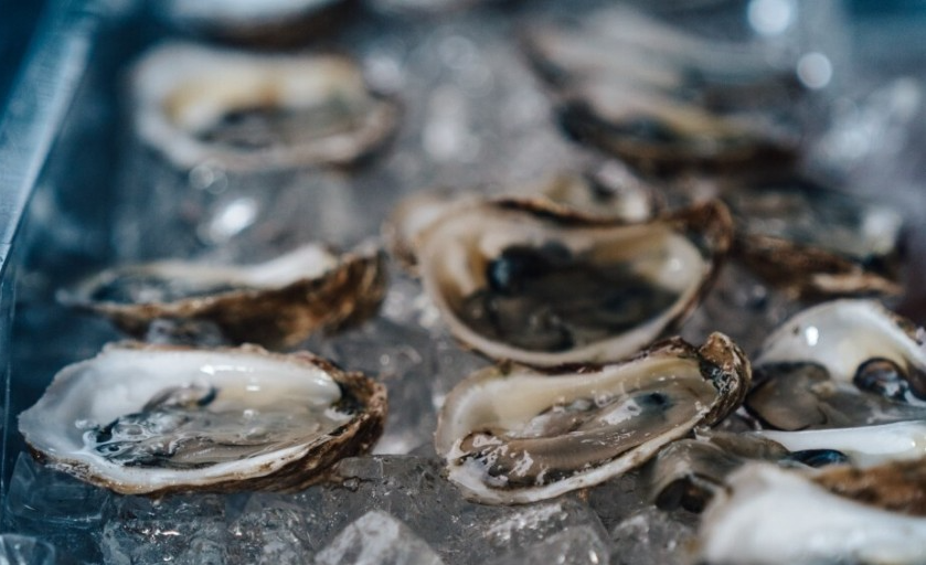 타우린-많은-음식