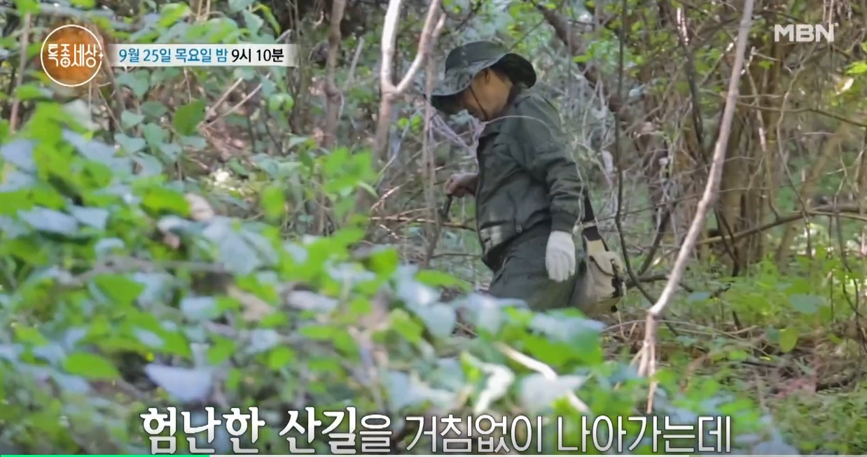 장경수 작사가 근황 특종세상