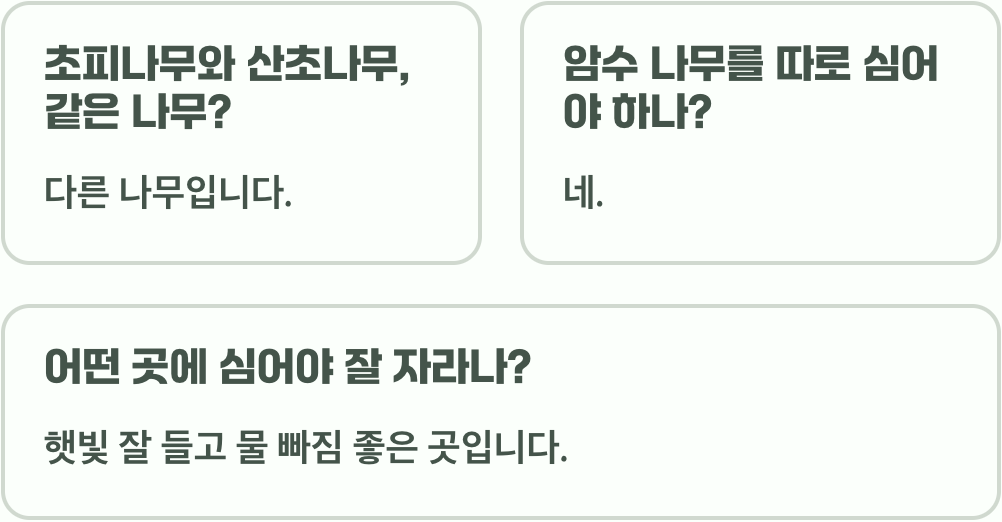 산초나무 심는 시기, 봄과 가을 중 언제가 더 좋을까?