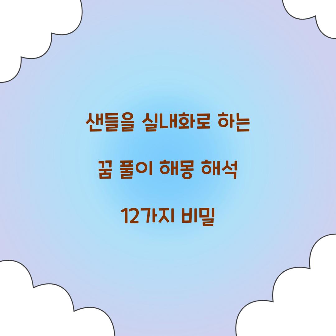 샌들을 실내화로 하는 꿈 풀이 해몽 해석