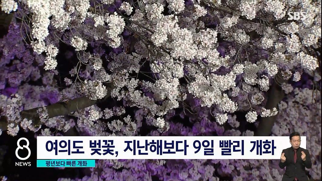 2023.봄꽃놀이.여의도.벚꽃축제.윤중로가는길.일정.총정리