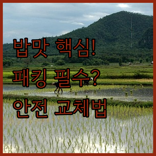 찰지고 맛있는 밥맛 비밀 압력밥솥 패..