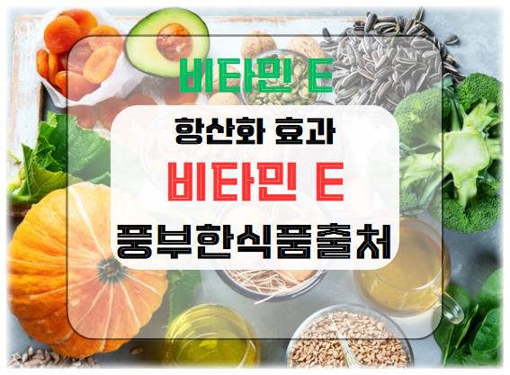 비타민 E의 항산화 효과와 풍부한 식품 출처는?