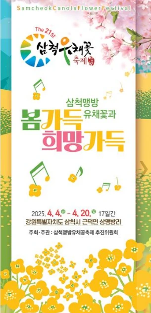 삼척 맹방 유채꽃 축제 프로그램&amp;#44; 주차장 및 교통 총정리(+주변 관광 명소)