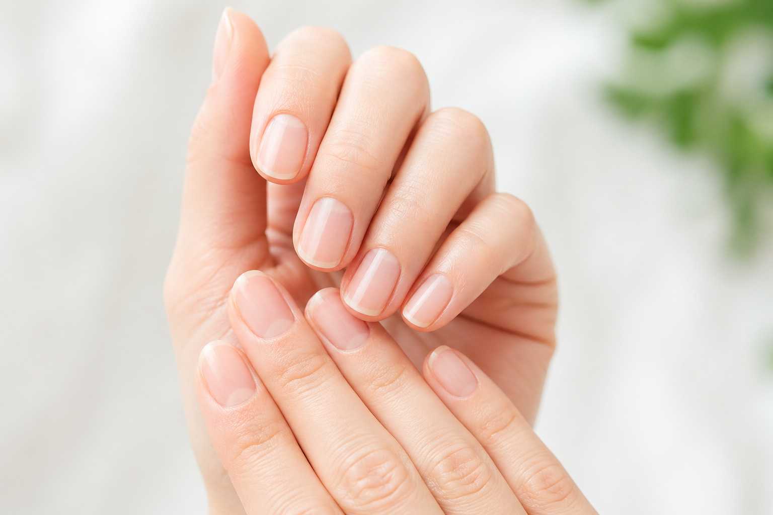 정상적인 손톱 색깔과 건강한 손톱 상태를 보여주는 클로즈업 이미지