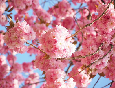 우리 동양의 전통 화장법은 뭐야?