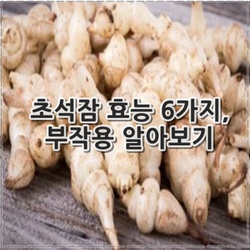초석잠 효능 6가지, 부작용 알아보기