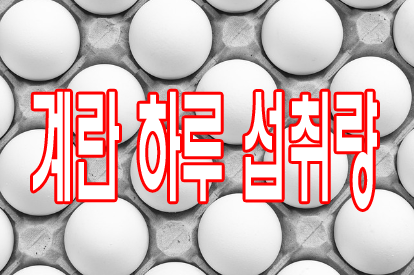 계란 하루 섭취량