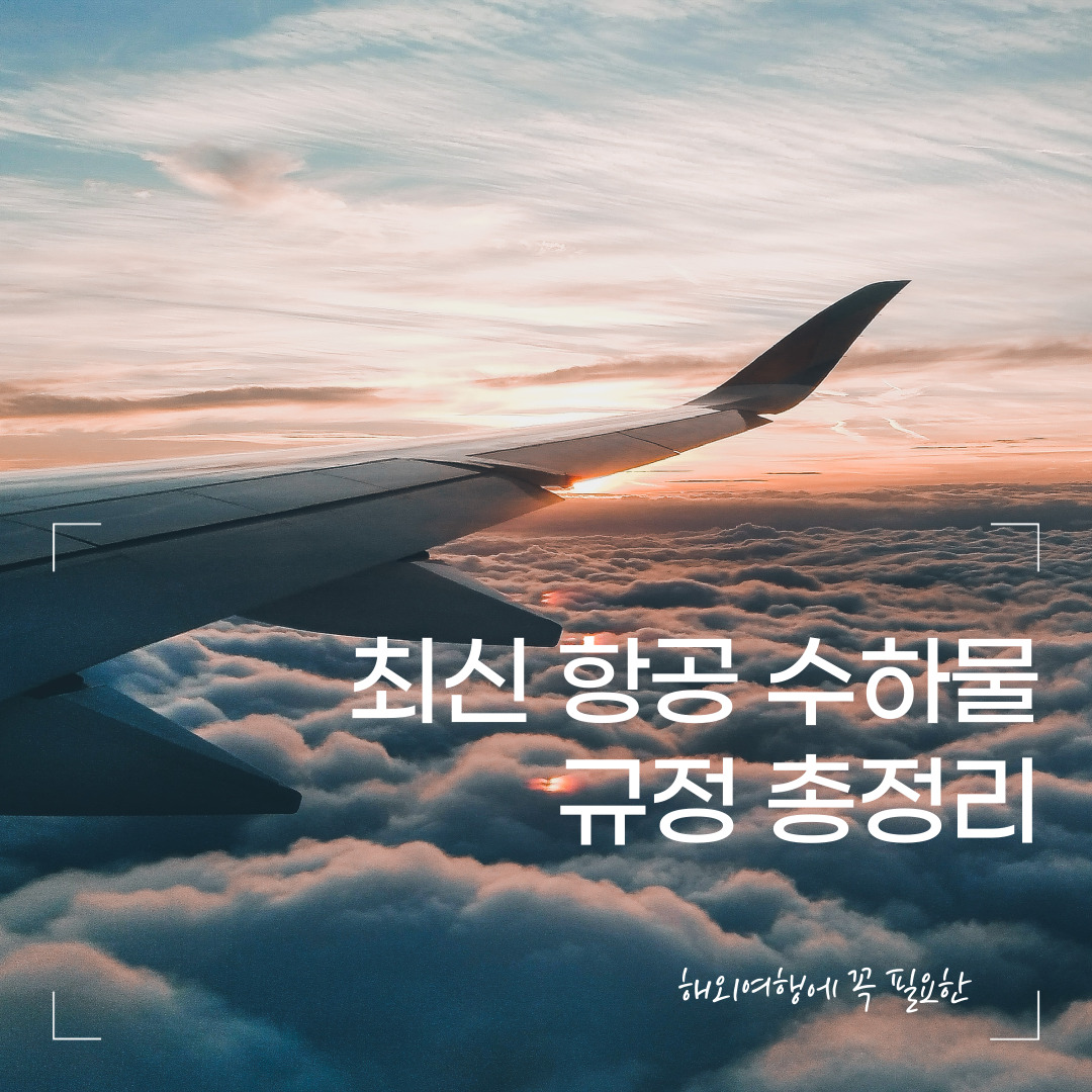 최신 항공 수하물 규정 총정리 ✈️